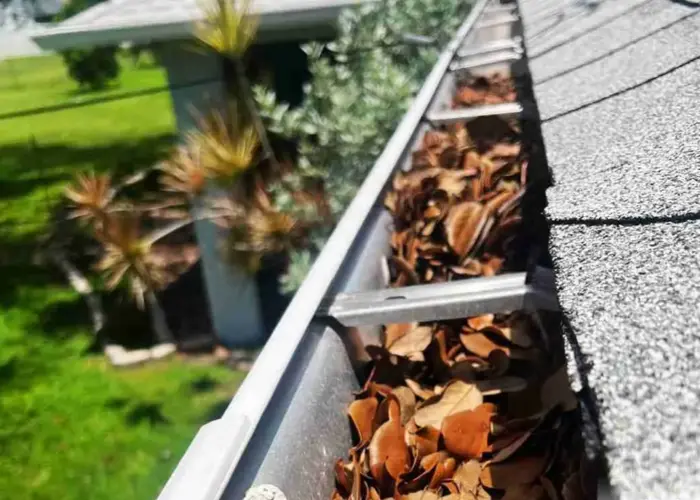 Pleasant Garden gutter cleaning home page